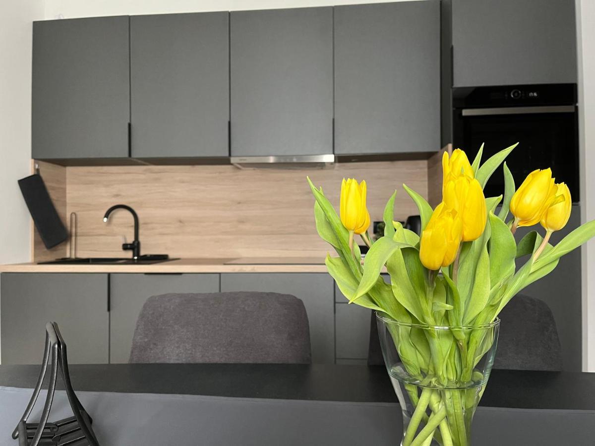 Apartment Kammi Загреб Екстериор снимка